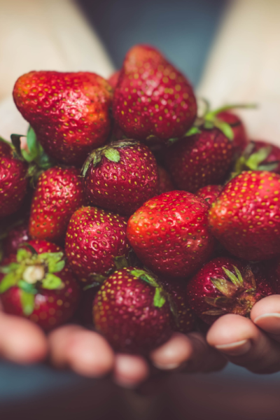How Do You Freeze Fresh Picked Strawberries