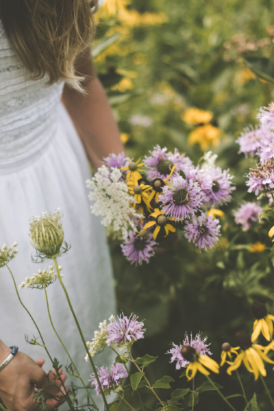 How to Create a Low Maintenance Flower Garden