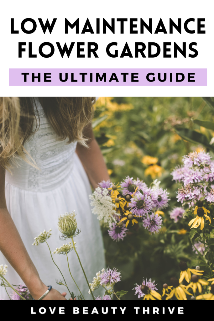 How to Create a Low Maintenance Flower Garden